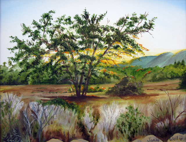 Sunset Through Oak Tree 2, 
Oil Painting